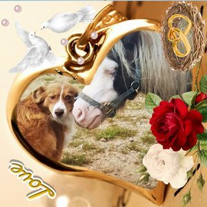 Meet your Posher, Sherry